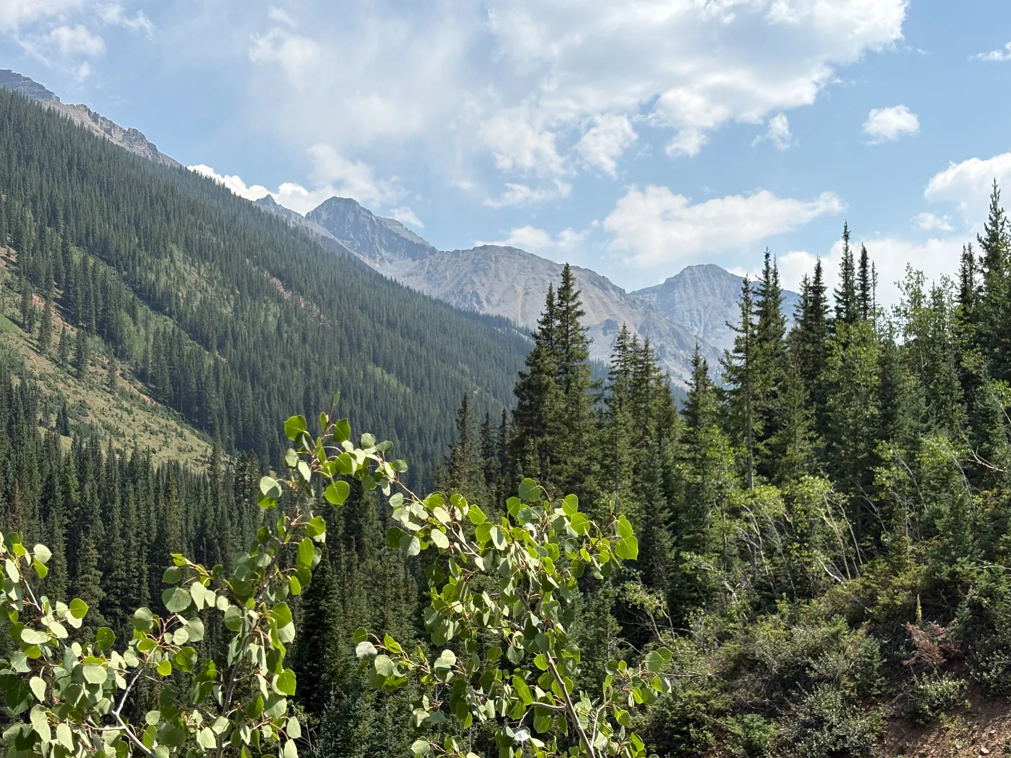 Evergreen forest and high mountain valley in Colorado
